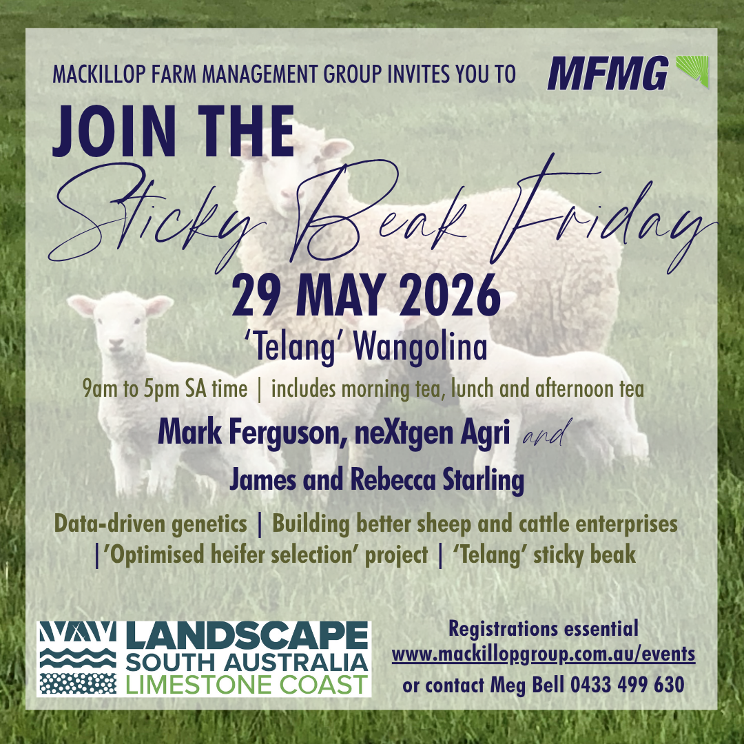 Autumn Sticky Beak Friday 'Breeding Better: data-driven decisions with Mark Ferguson, NextGen Agri