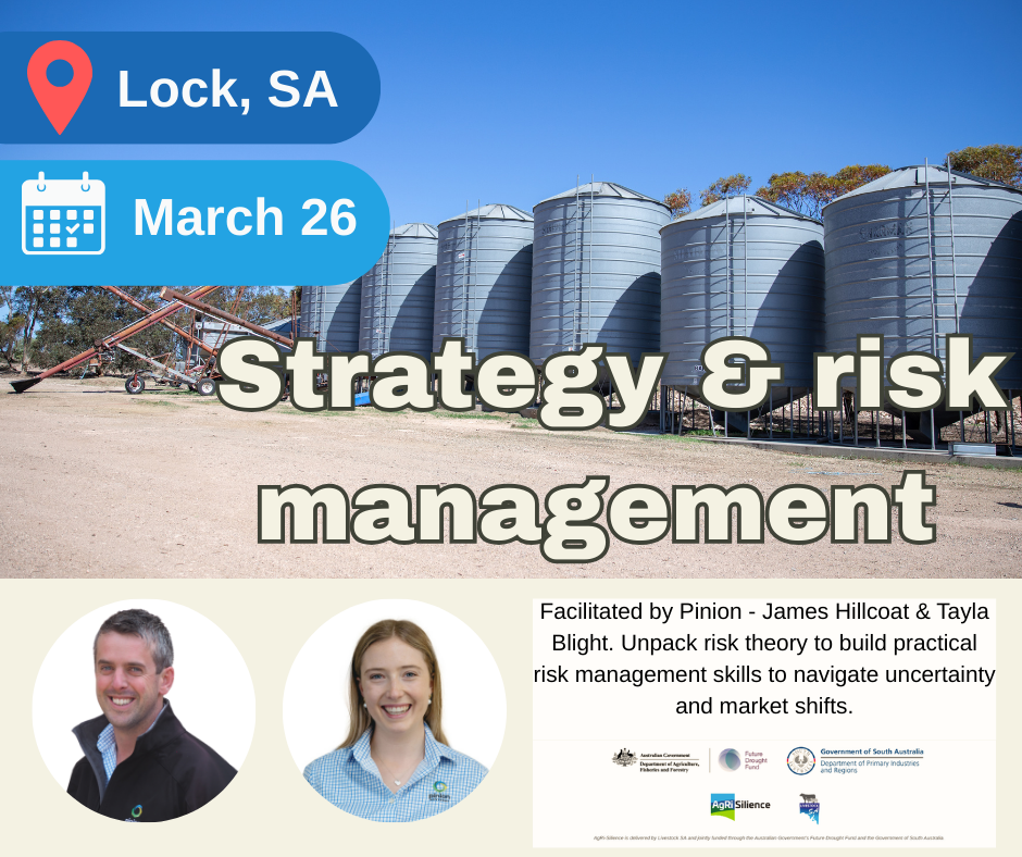 Strategy and risk management - Lock