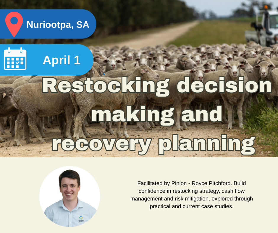 Restocking decision making and recovering planning - Nuriootpa