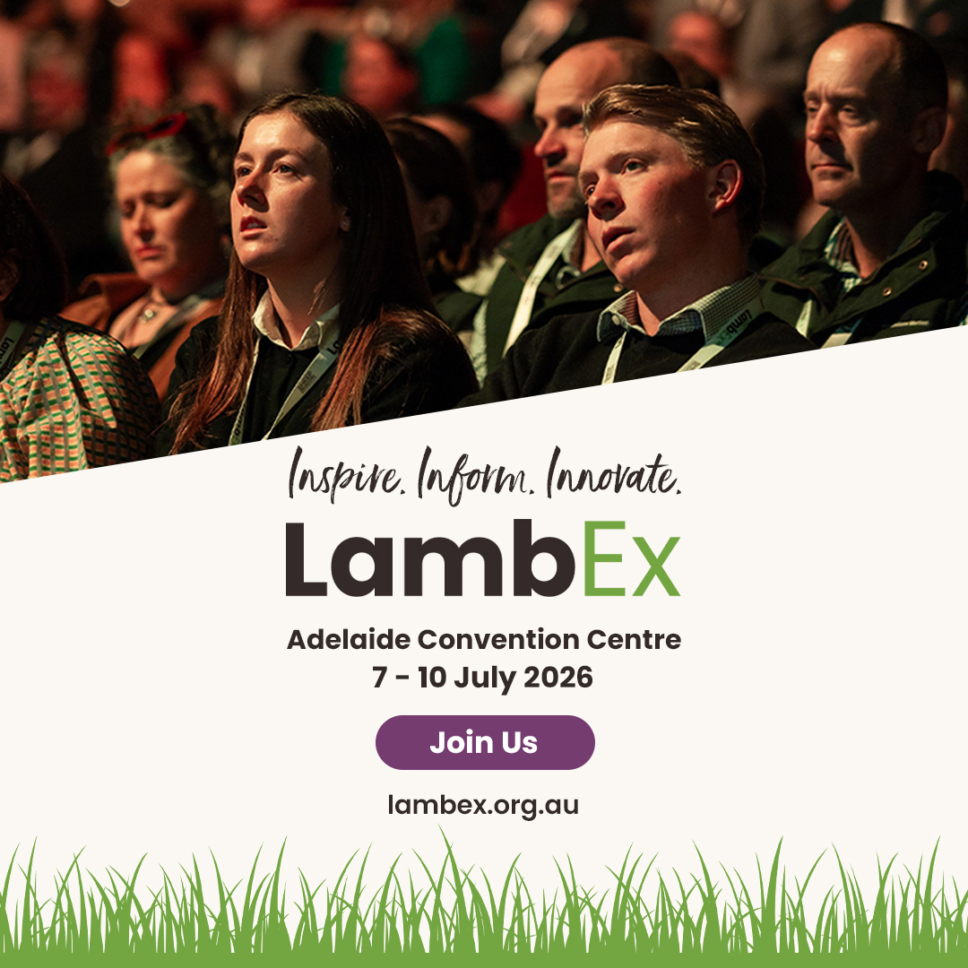 LambEx26
