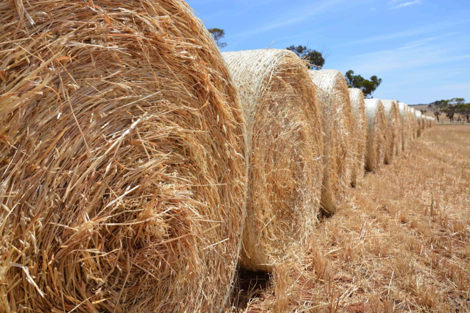 Hay Bales